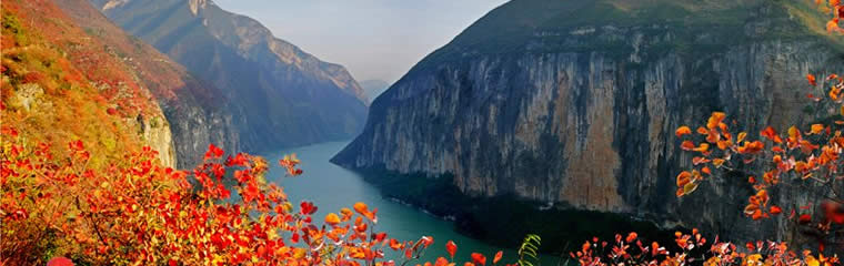Red Leaves of Yangtze River Cruise Red Leaves of Yangtze River Cruise
