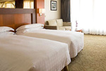 Century Paragon Cabin