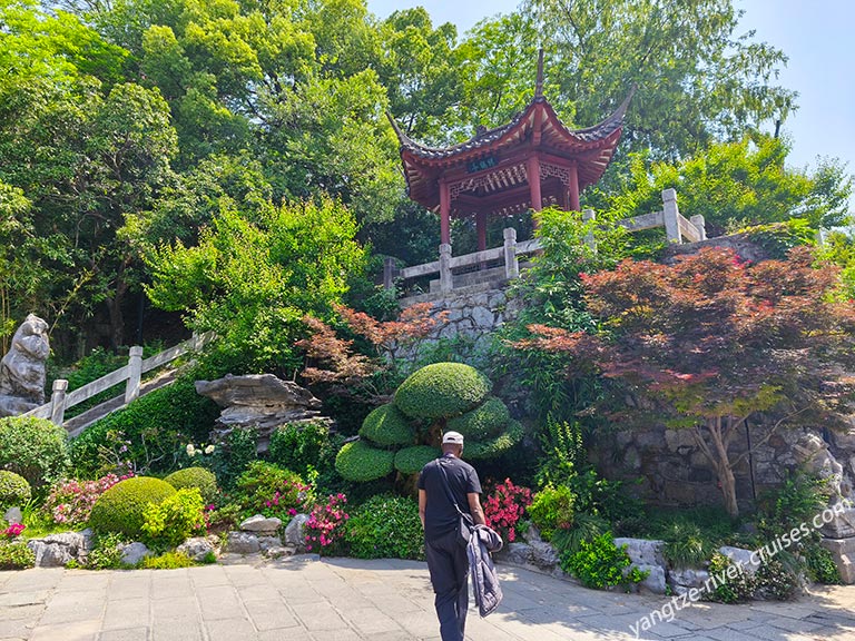 Yangtze China Tour Review