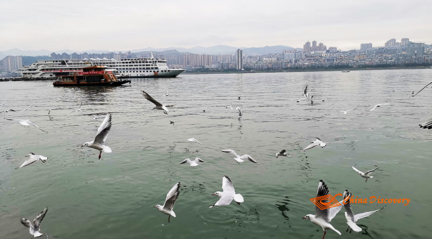Yangtze River Facts