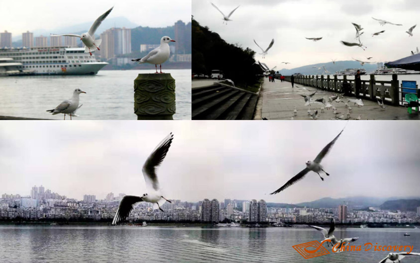 Fengdu Ghost City