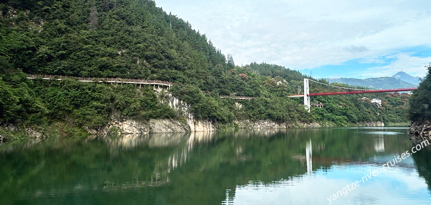 Yangtze River Cruise - Shennong Stream