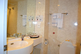 Bathroom on Victoria Anna