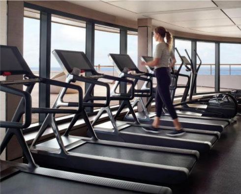 Vista Harmony Cruise