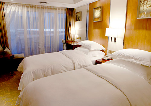 Yangtze Gold 2 Accommodation