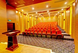 Yangtze Gold 7 Cinema