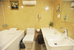 Bathroom of Executive Cabin