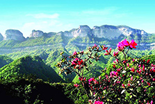 Mount Jinfo