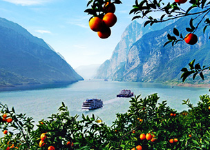 Yichang & Yangtze Cruise Tour