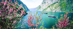 Yangtze River Cruise Ships