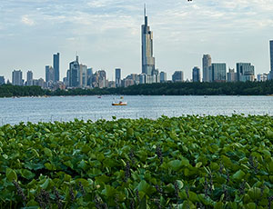 Yangtze River Cruise Expert