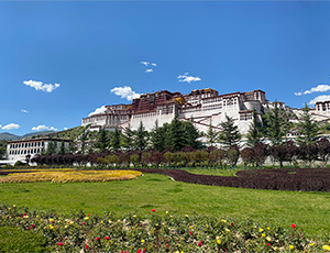 Yangtze River Cruise Expert Tammy